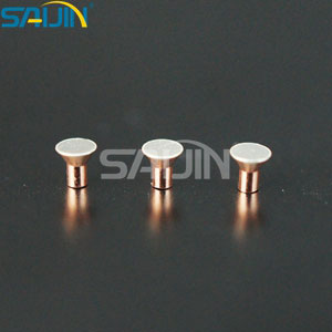 Electrical Silver Contact rivet for relay switch